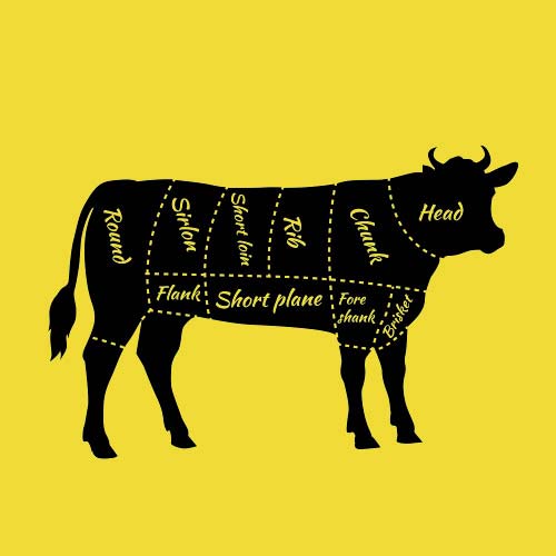 cow on yellow background