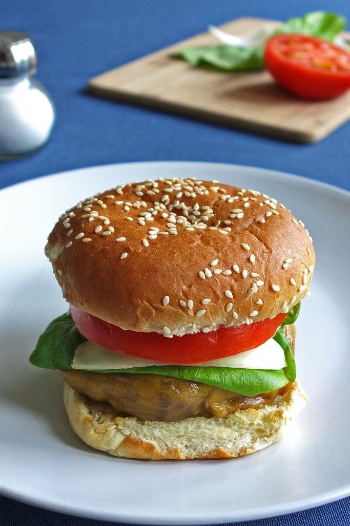 gormet cheeseburger | burgerartist.com